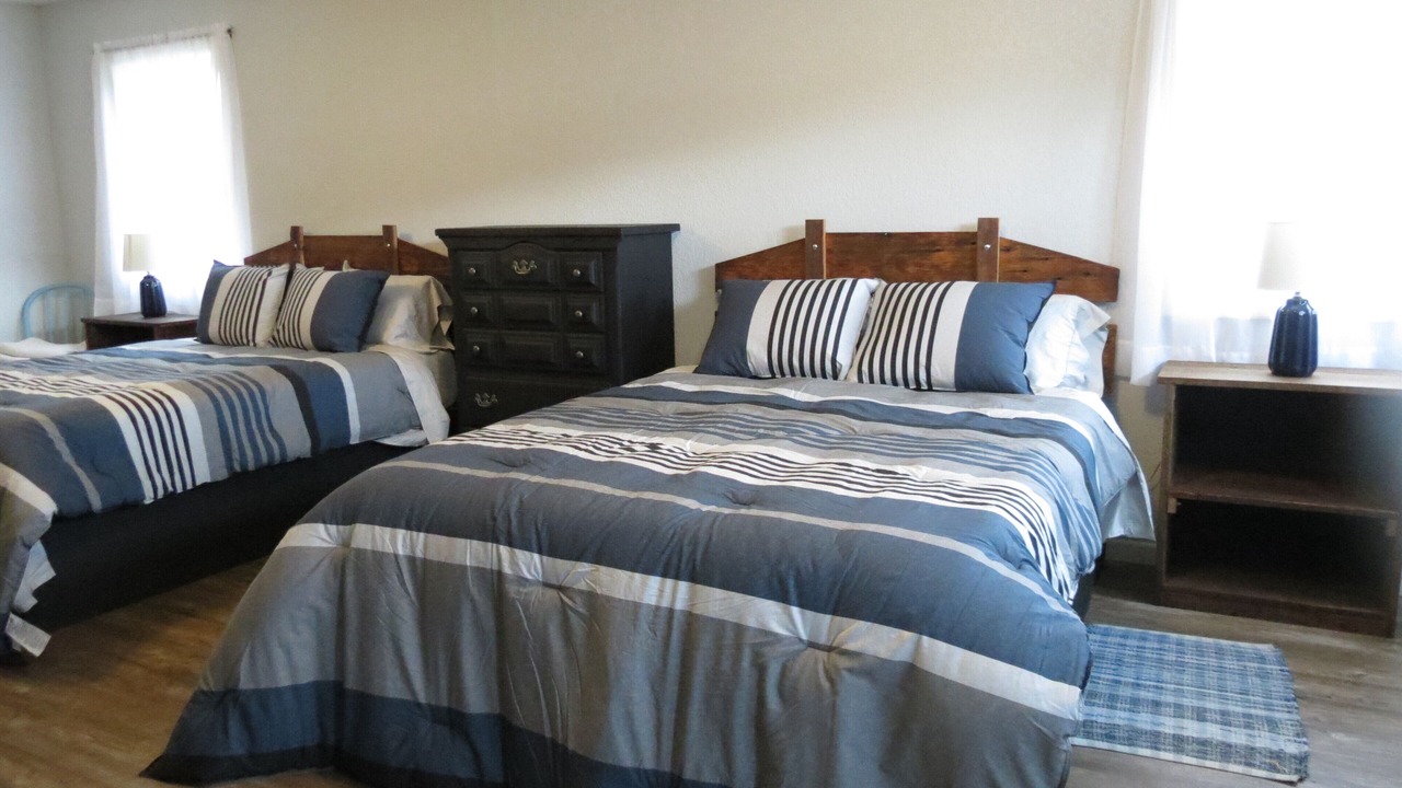 Photo of Bedroom in Nemo