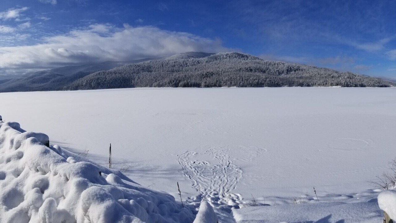 Photo of Outdoor in Swan Lake