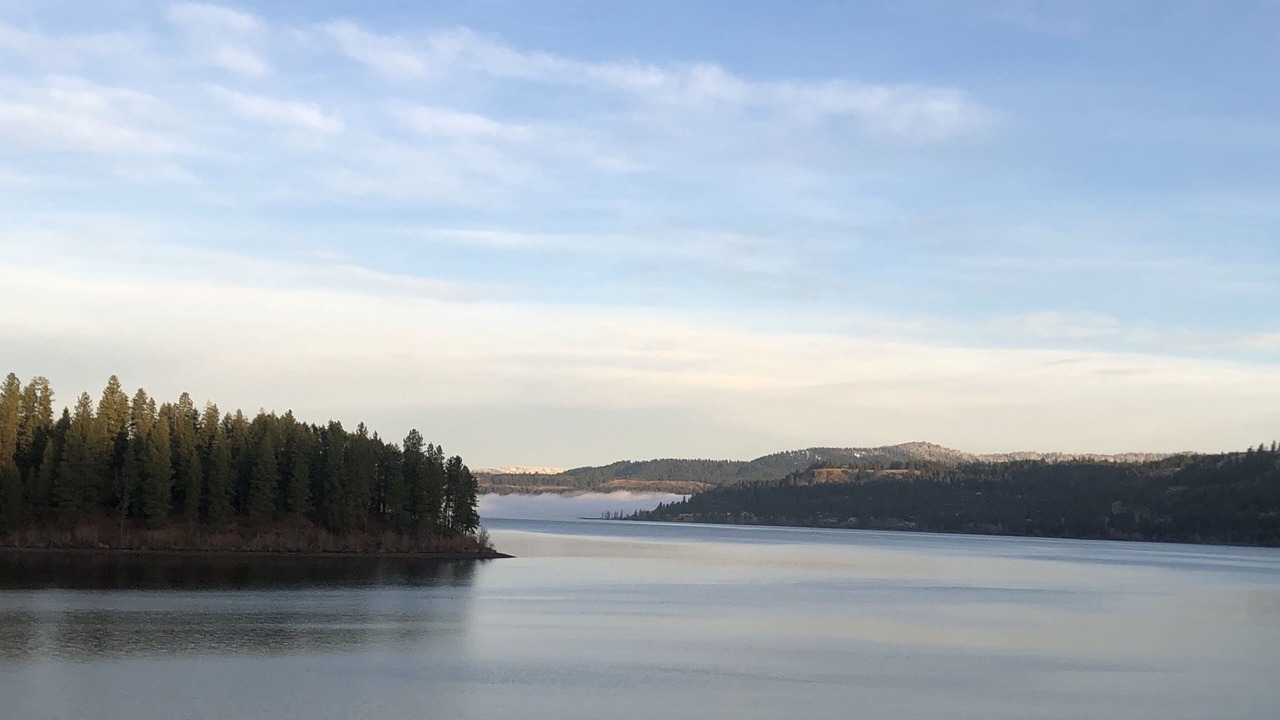 Photo of Others in Carey Bay