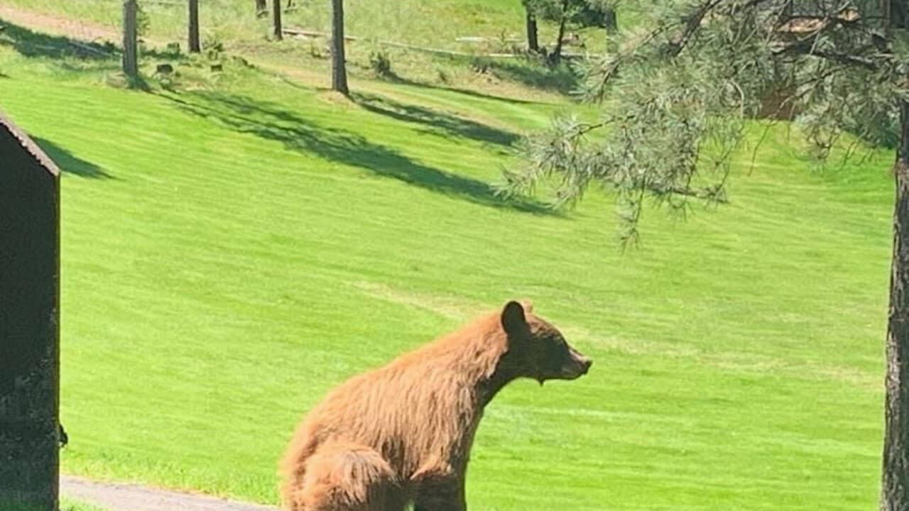 Photo of Outdoor in Seeley Lake