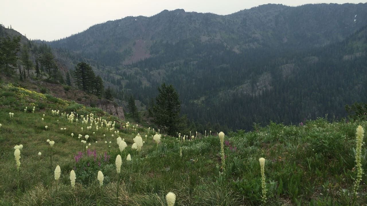Photo of Outdoor in Seeley Lake