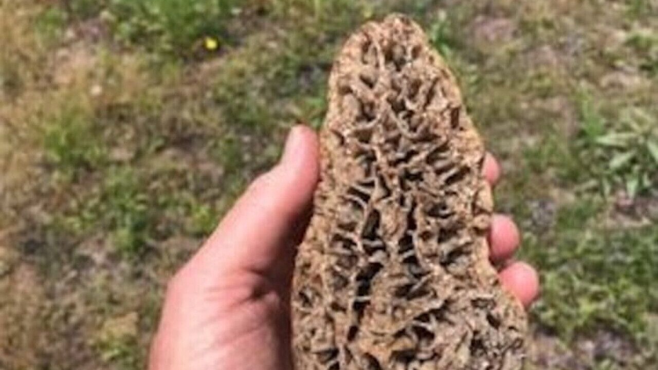 Photo of Outdoor in Seeley Lake