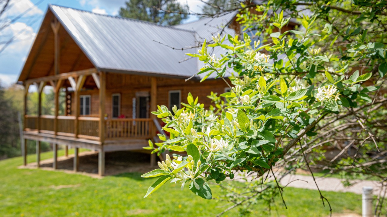 Photo of Outdoor in Rockbridge