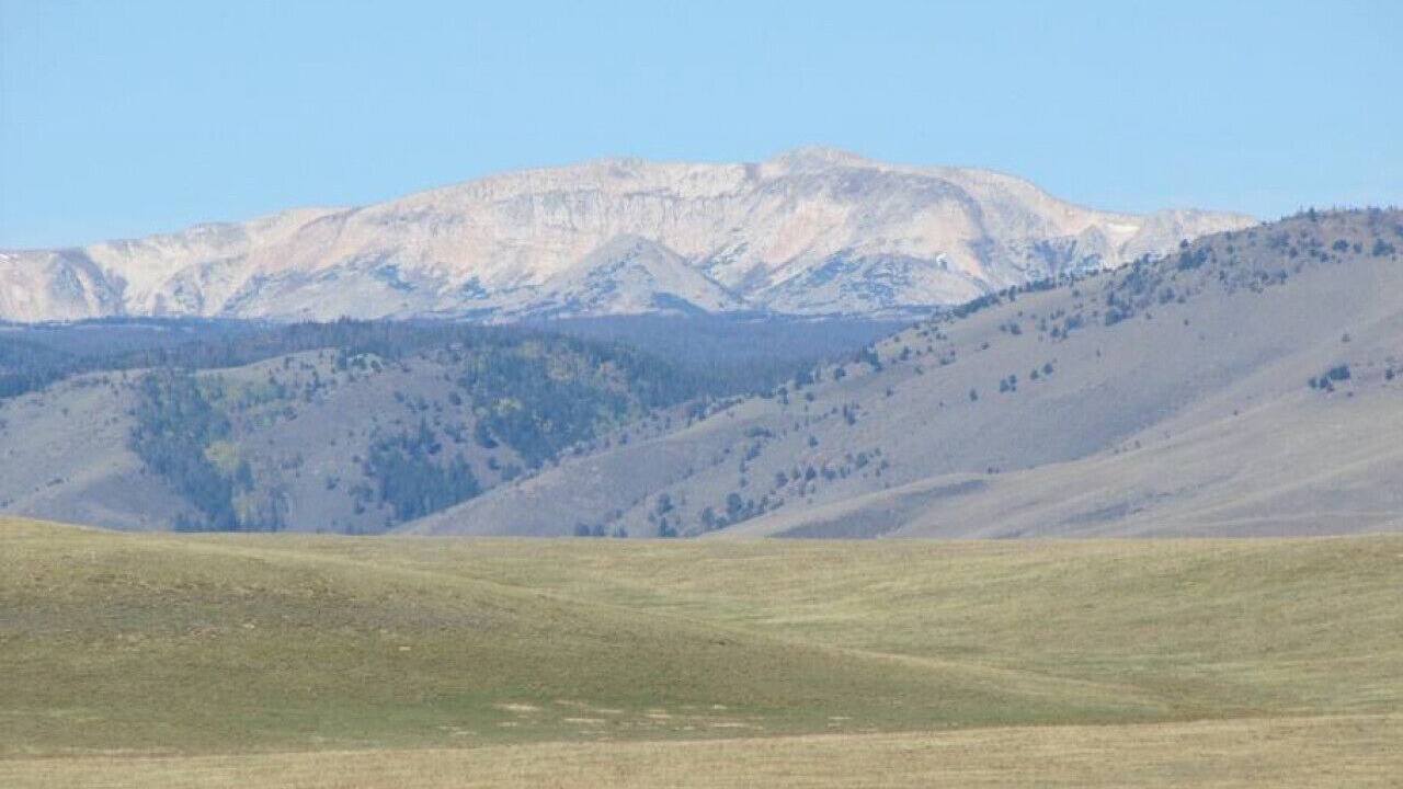 Photo of Others in Centennial