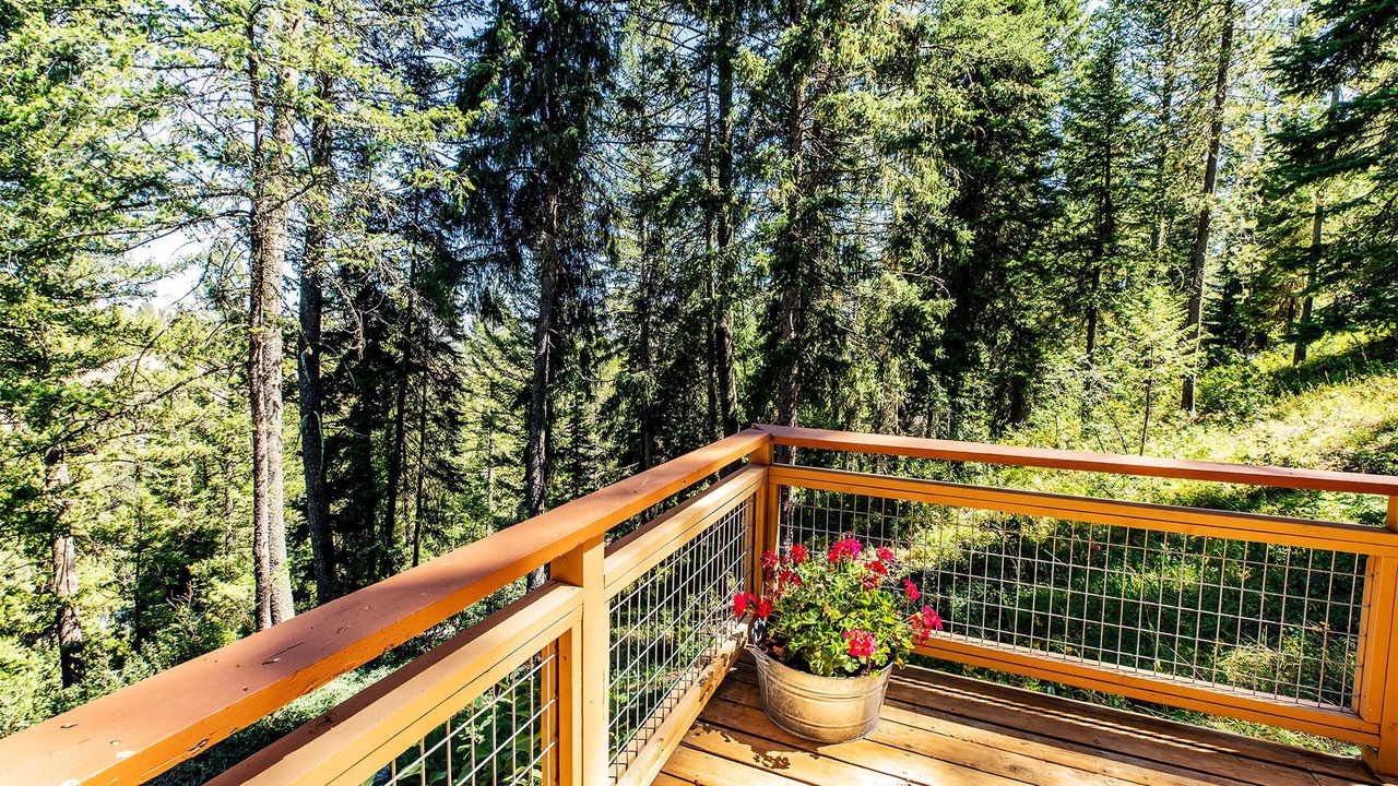 Photo of Outdoor in Wilson