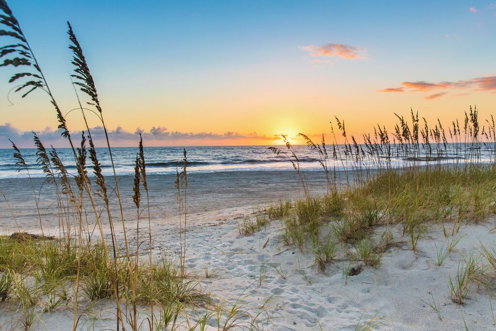 Photo of Others in Fernandina Beach