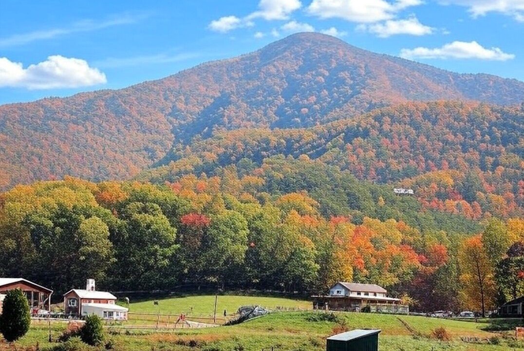 Photo of Others in Smoky Mountains