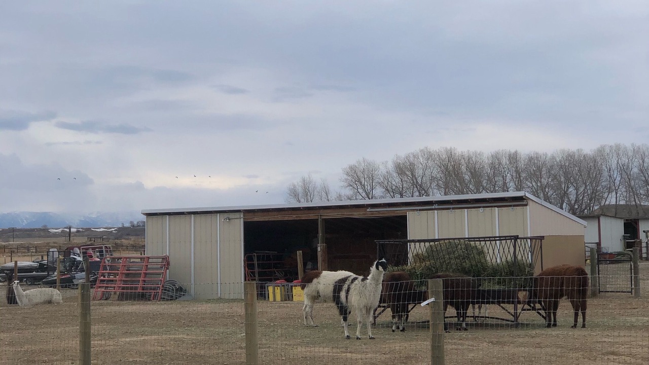 Photo of Others in Ralston