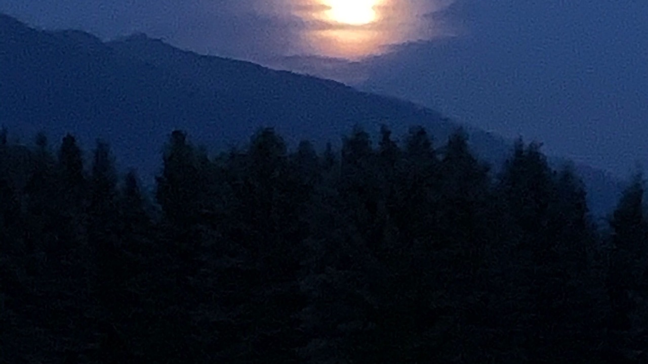 Photo of Others in Bigfork