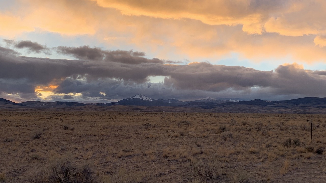Photo of Others in Dillon