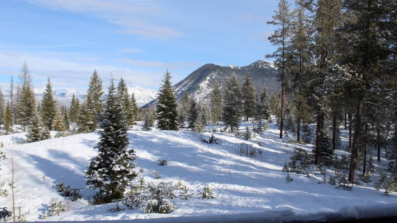 Photo of Others in West Glacier