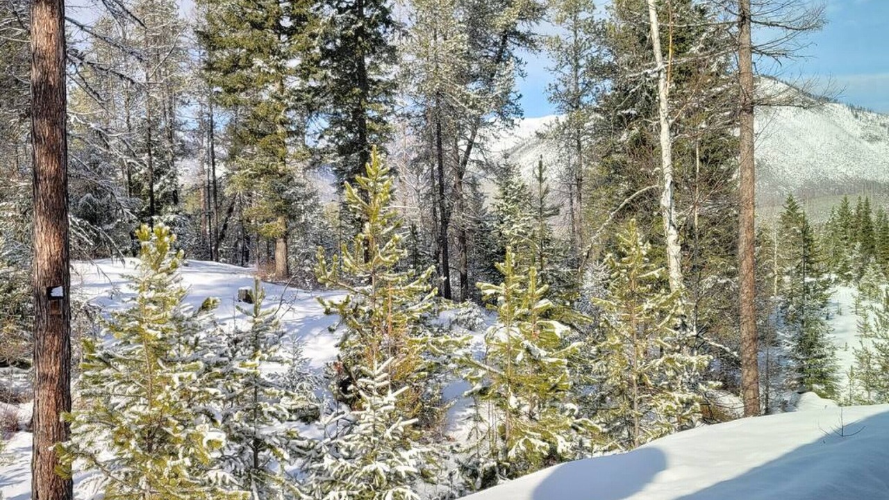 Photo of Others in West Glacier