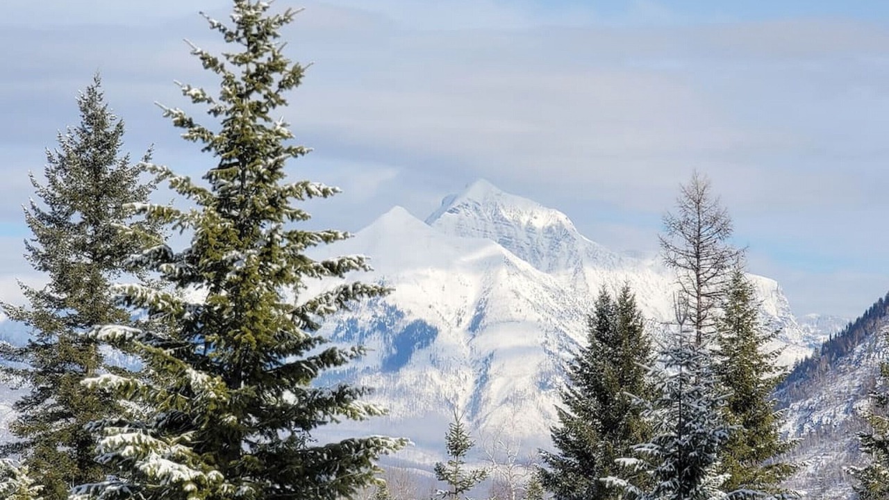 Photo of Others in West Glacier