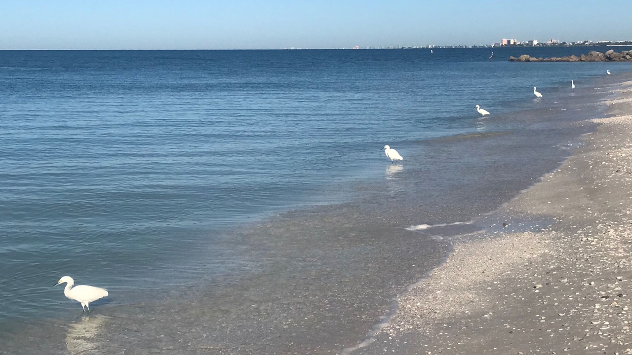 Photo of Others in Bonita Bay