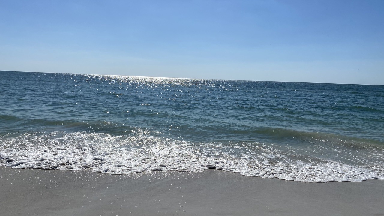 Photo of Others in Bonita Bay