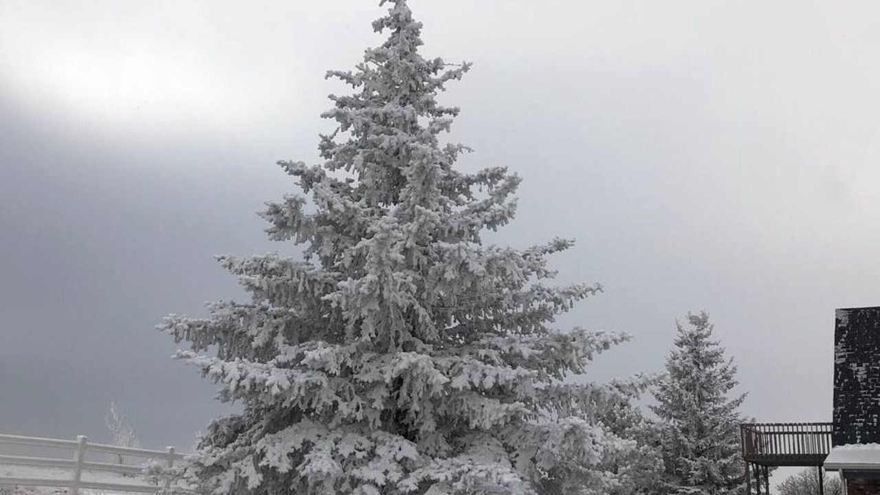 Photo of Outdoor in Cheyenne