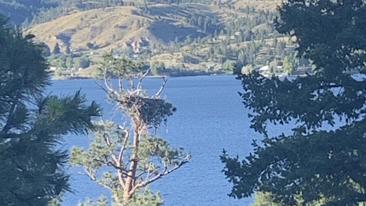 Photo of Others in Helena