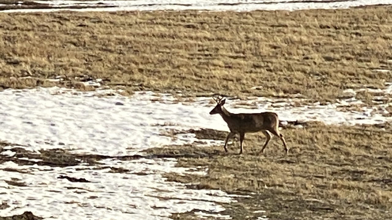 Photo of Others in Kalispell
