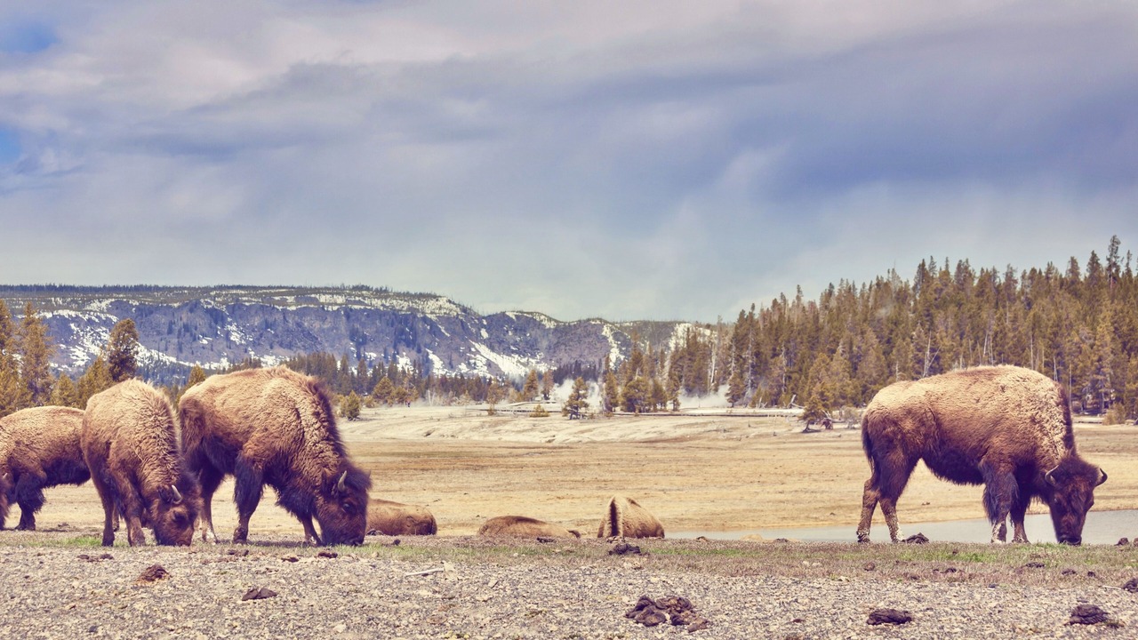 Photo of Outdoor in Big Sky