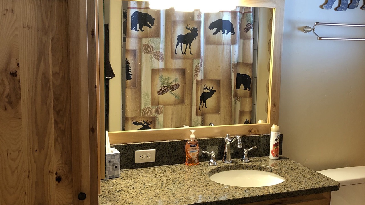 Photo of Bathroom in Island Park