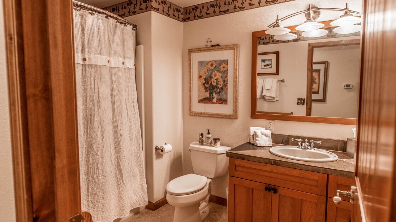 Photo of Bathroom in Livingston