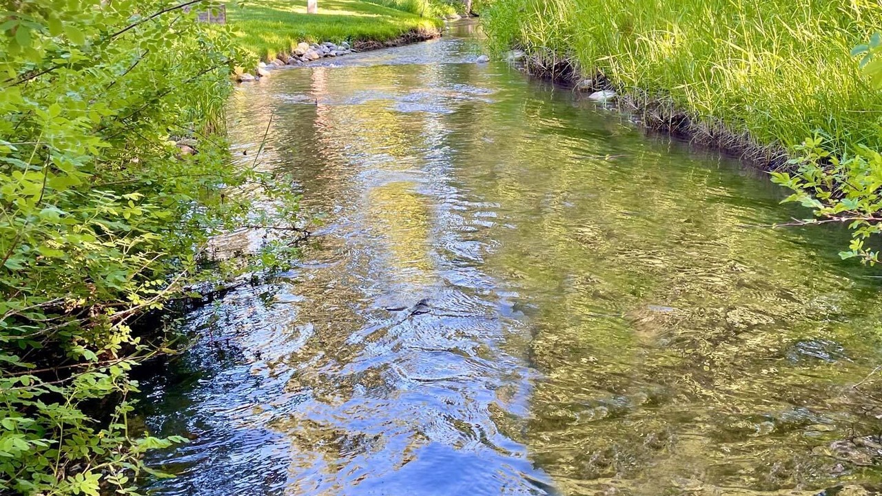 Photo of Outdoor in Hailey