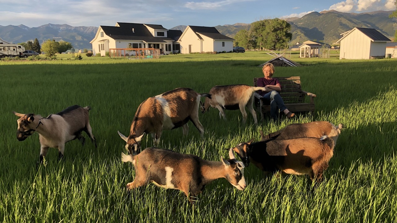 Photo of Others in Bozeman