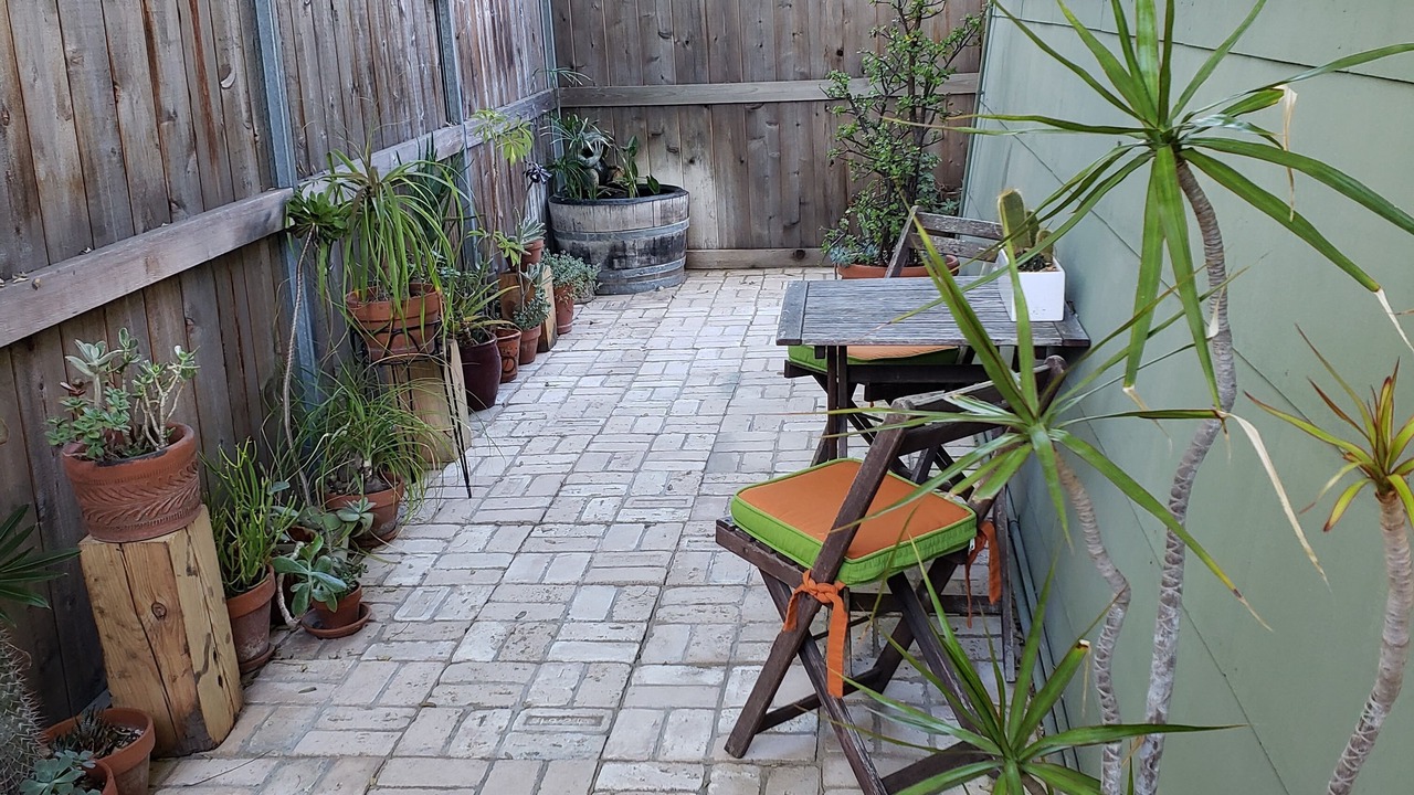Photo of Outdoor in North Park