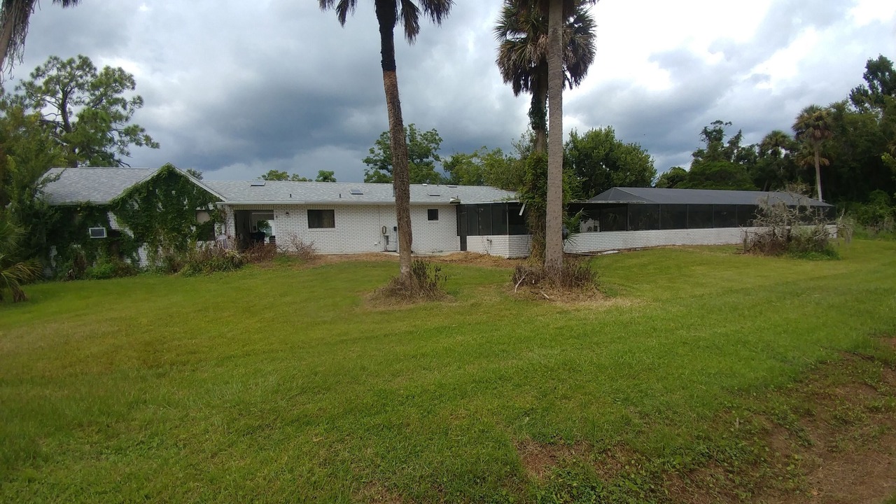 Photo of Outdoor in New Smyrna Beach