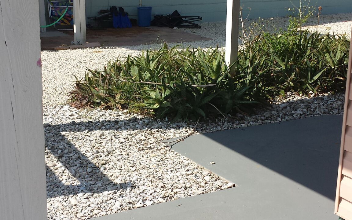 Photo of Outdoor in Fernandina Beach