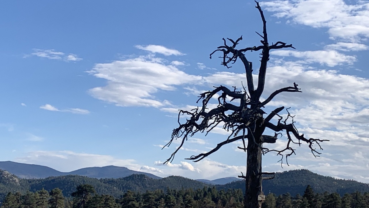 Photo of Others in Rustic