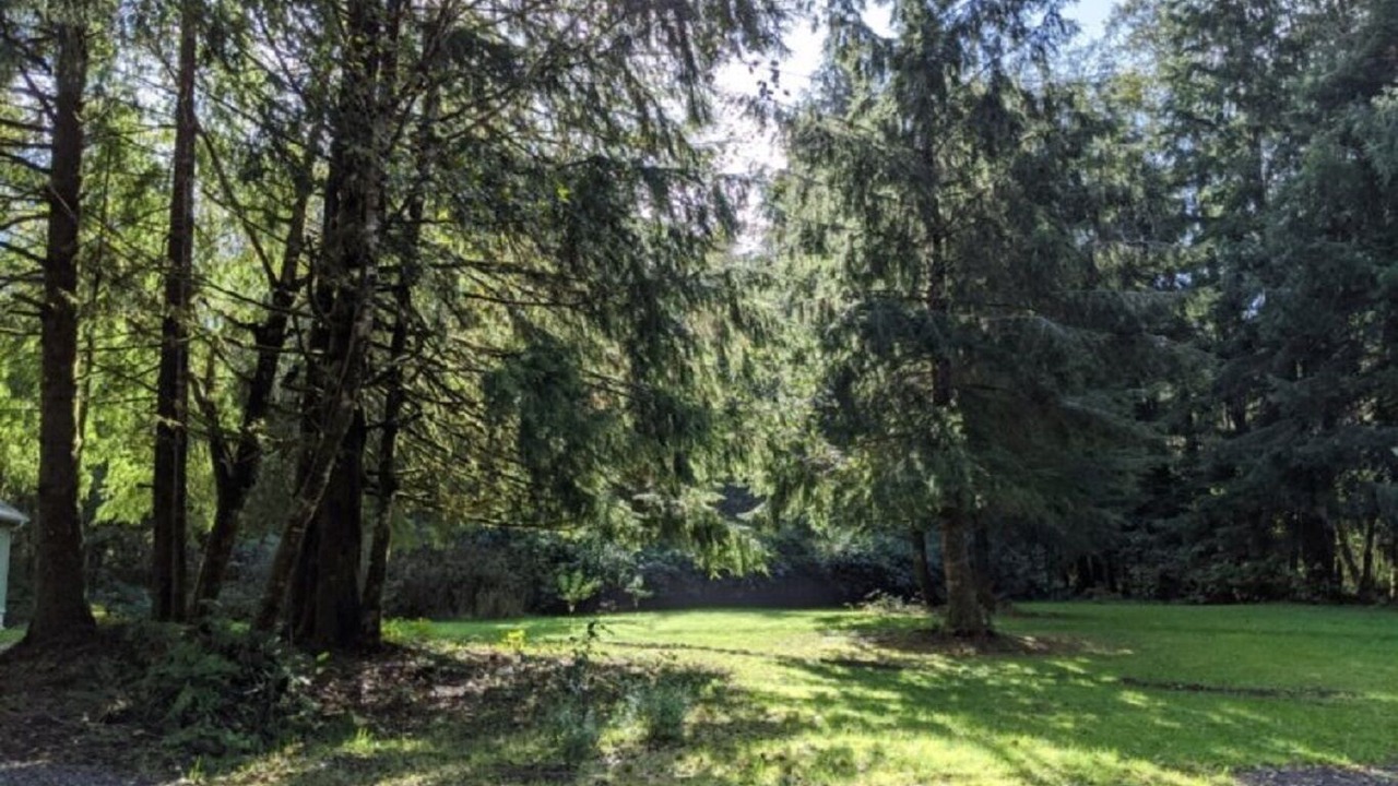 Photo of Others in Forks