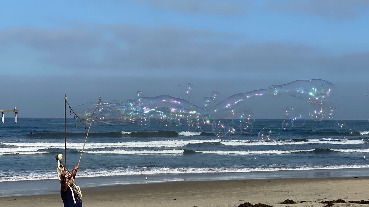Photo of Others in Mission Beach