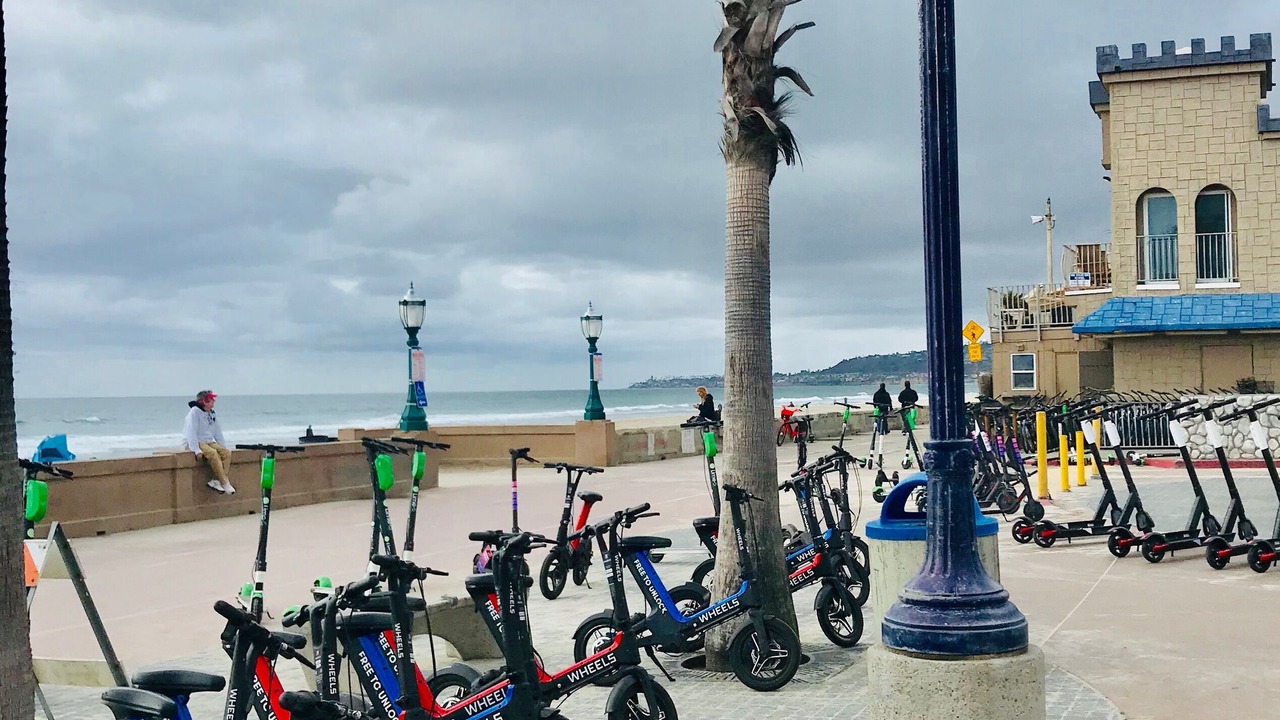 Photo of Others in Mission Beach