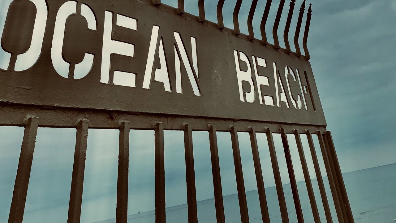 Photo of Others in Mission Beach