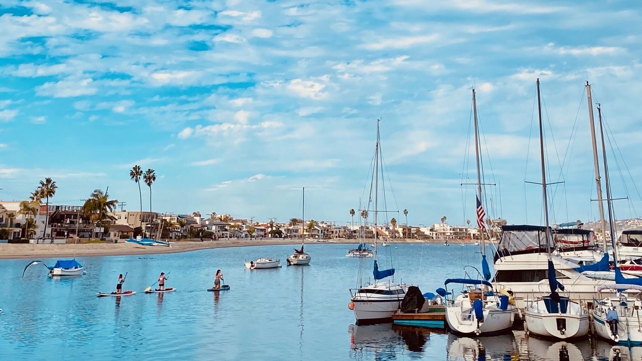 Photo of Others in Mission Beach