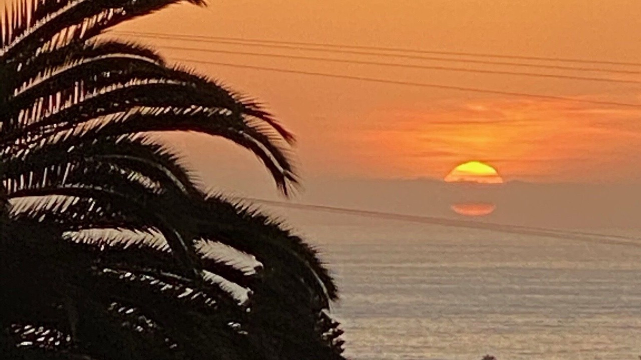 Photo of Others in Mission Beach