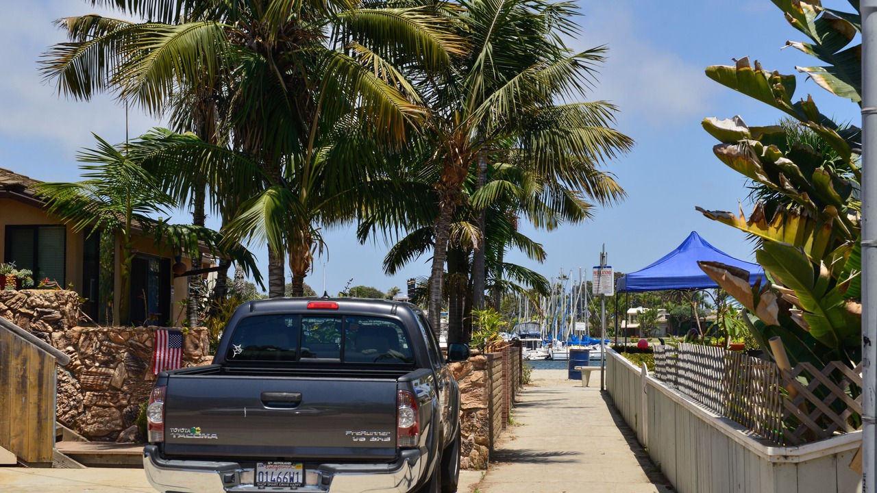 Photo of Others in Mission Beach