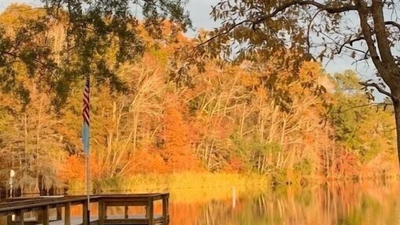 Photo of Others in Eutawville