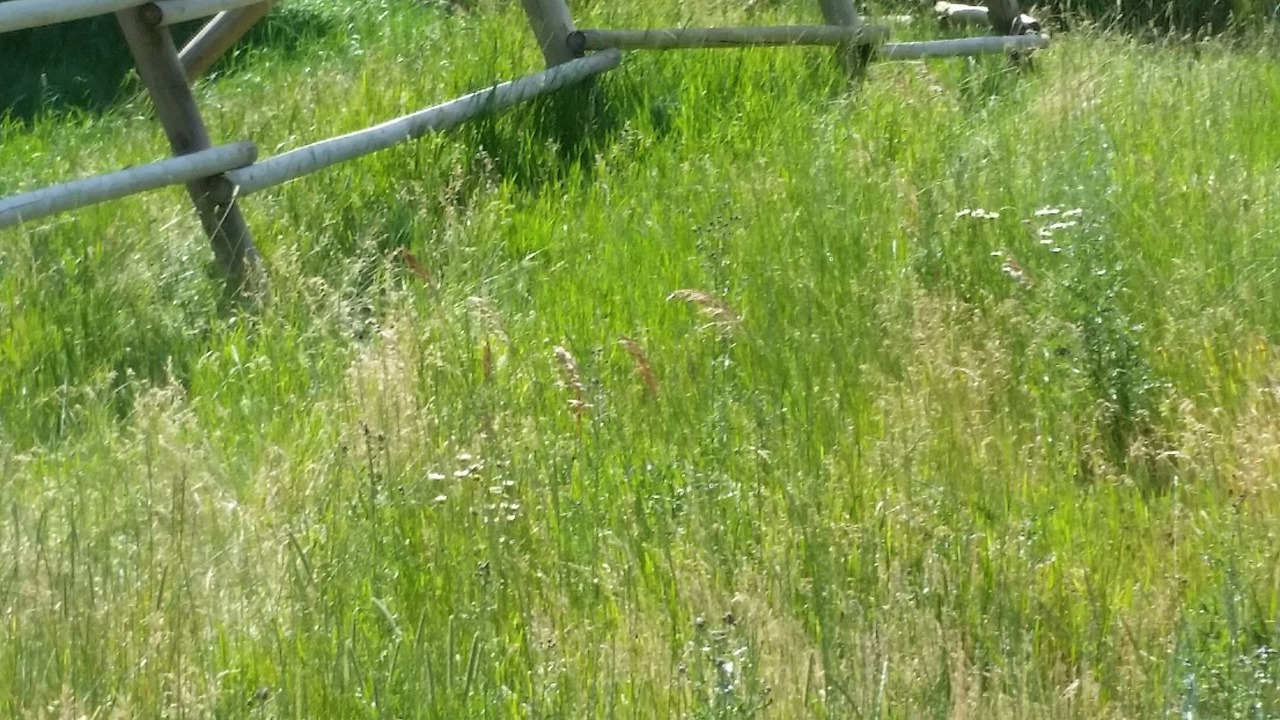 Photo of Outdoor in Monarch