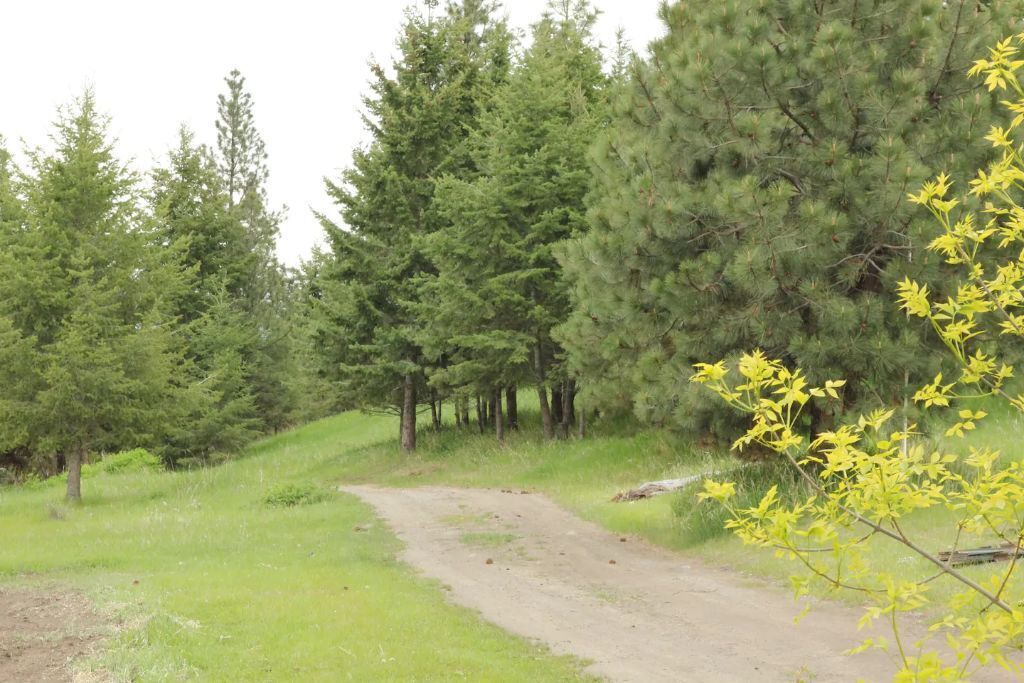 Photo of Others in Proctor