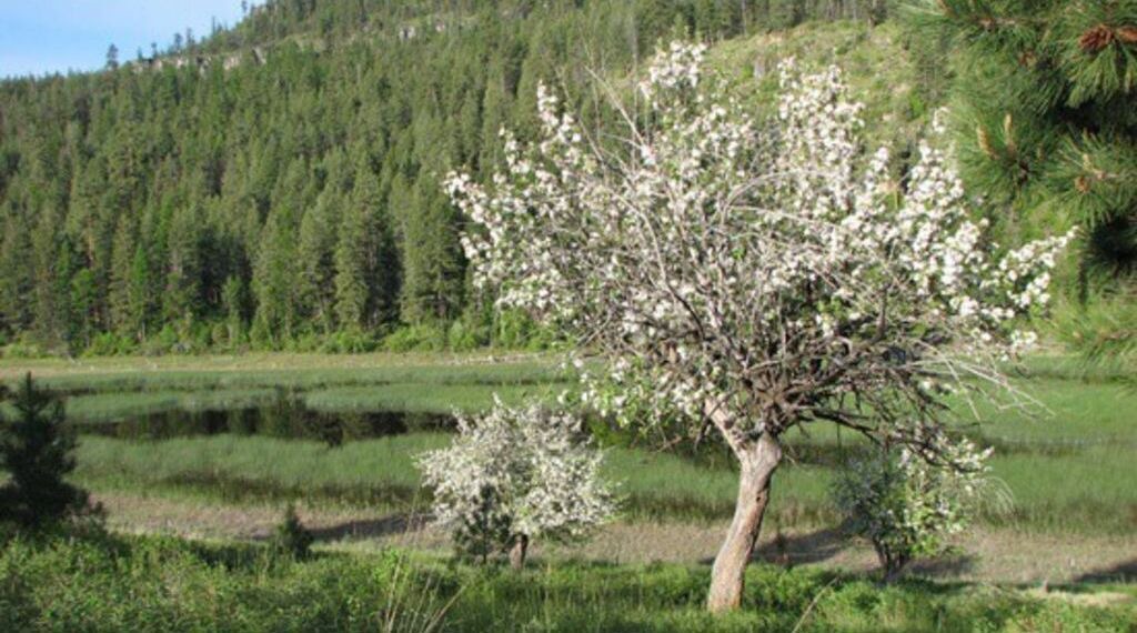 Photo of Outdoor in Proctor