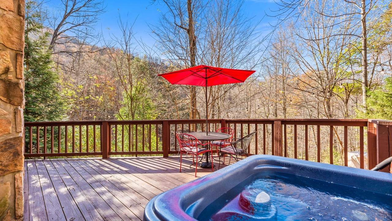 Photo of Others in Smoky Mountains