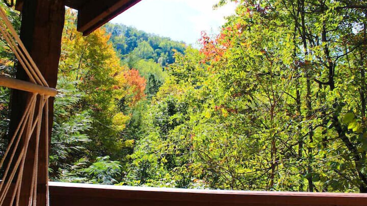 Photo of Outdoor in Smoky Mountains
