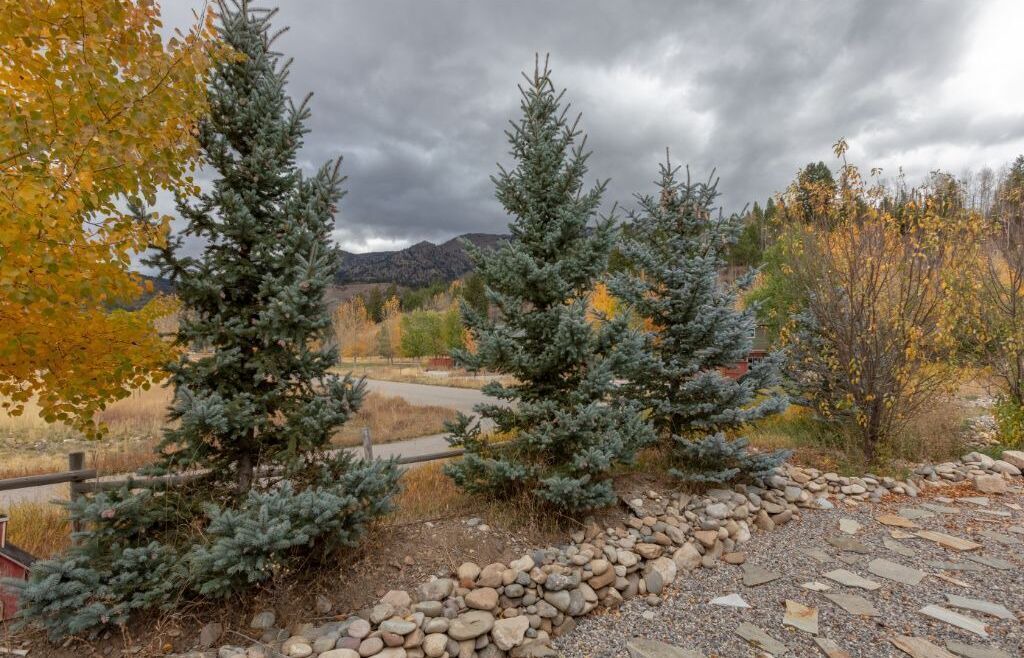 Photo of Outdoor in Alpine Northeast