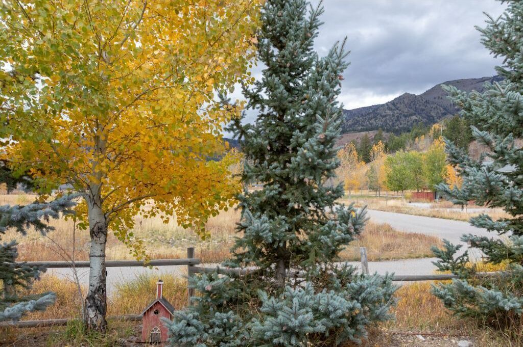 Photo of Outdoor in Alpine Northeast