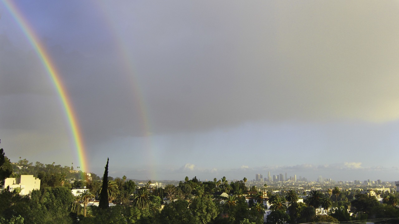 Photo of Others in Hollywood Hills