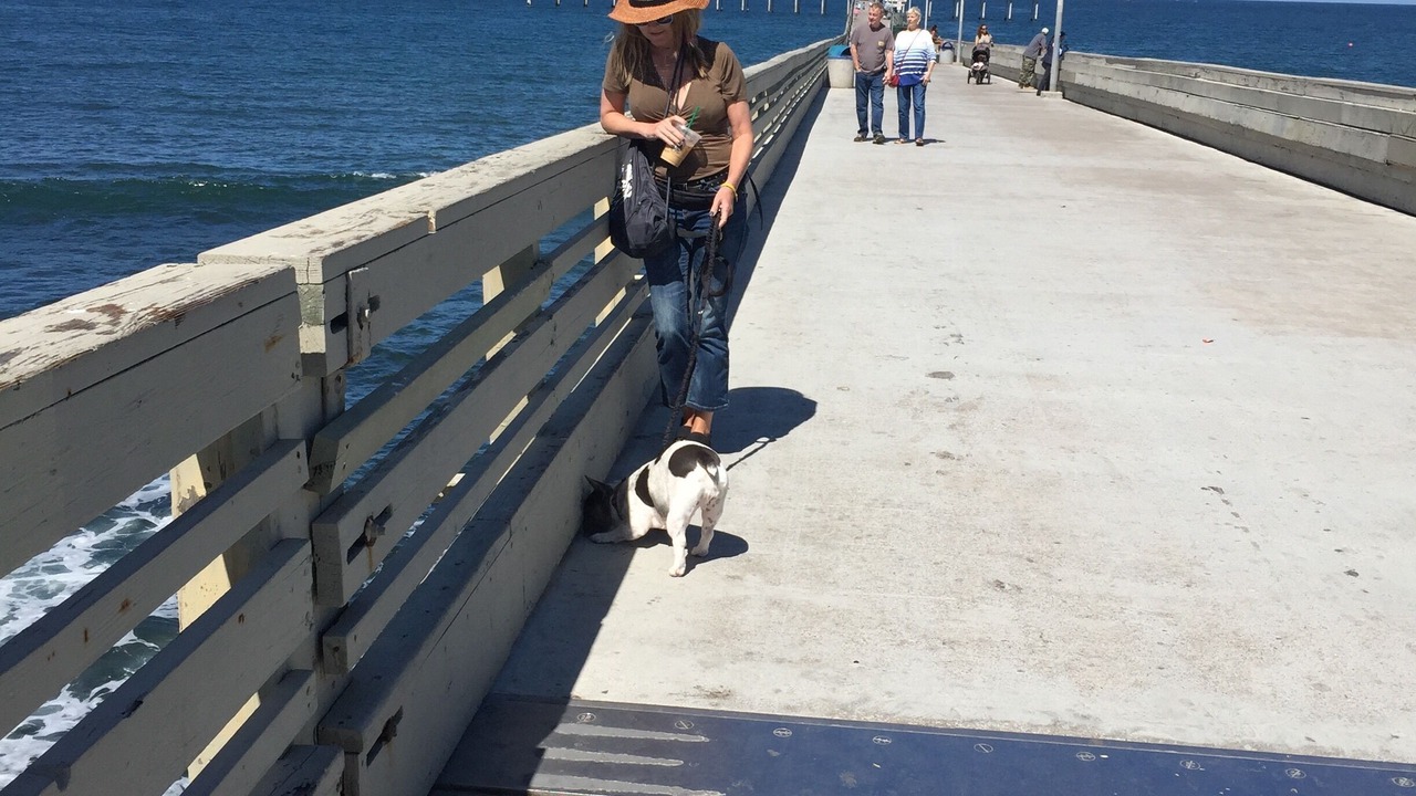 Photo of Others in Mission Beach