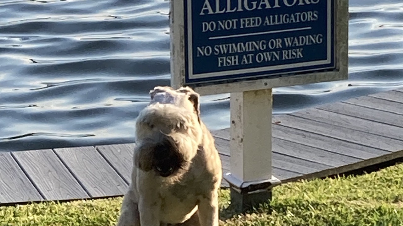 Photo of Others in Litchfield by the Sea