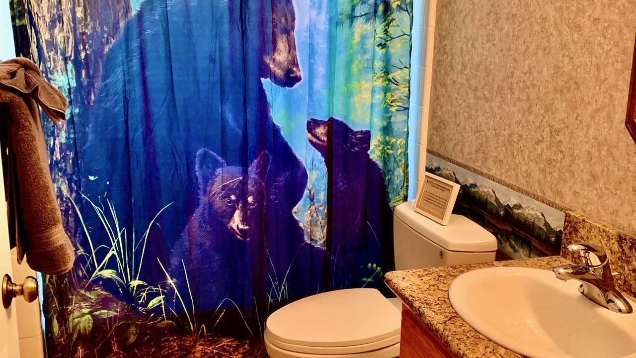 Photo of Bathroom in Island Park
